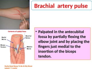 Examination of arterial and venous pulse Mbbs physiology.pptx