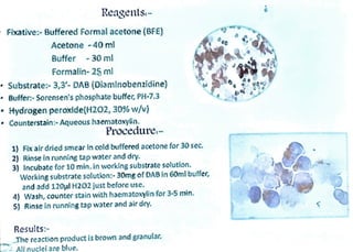 Reagents
Fixative:- Buffered Formal acetone (BFE)
Acetone-40ml
Buffer 30ml
Formalin- 25 ml
Substrate:-3,3- DAB(Diaminobenzidine)
Buffer:- Sorensen's phosphate buffer, PH-7.3
Hydrogen peroxide(H202, 30% w/v)
Counterstain:- Aqueous haematoxylin.
Procedure-
1) Fix air dried smear in cold buffered acetone for 30 sec.
2) Rinse in running tap water and dry.
3) Incubate for 10 min. in working substrate solution.
Working substrate solution:-30mg of DAB in 60ml buffer,
and add 120ul H202 just before use.
4) Wash, counter stain with haematoxylin for 3-5 min.
5) Rinse in running tap water and air dry.
Results:
The reaction product is browm and granular.
All nuclei are blue.
 
