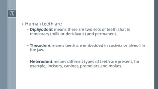forensic examination of bone: practical class | PPTX