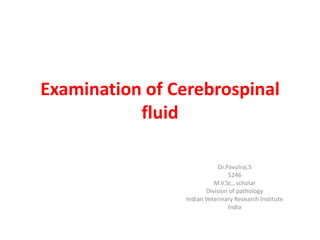 Examination of Cerebrospinal
fluid
Dr.Pavulraj.S
5246
M.V.Sc., scholar
Division of pathology
Indian Veterinary Research Institute
India
 