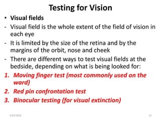 Examination of Cranial Nerves.pptx Anatomy | PPTX