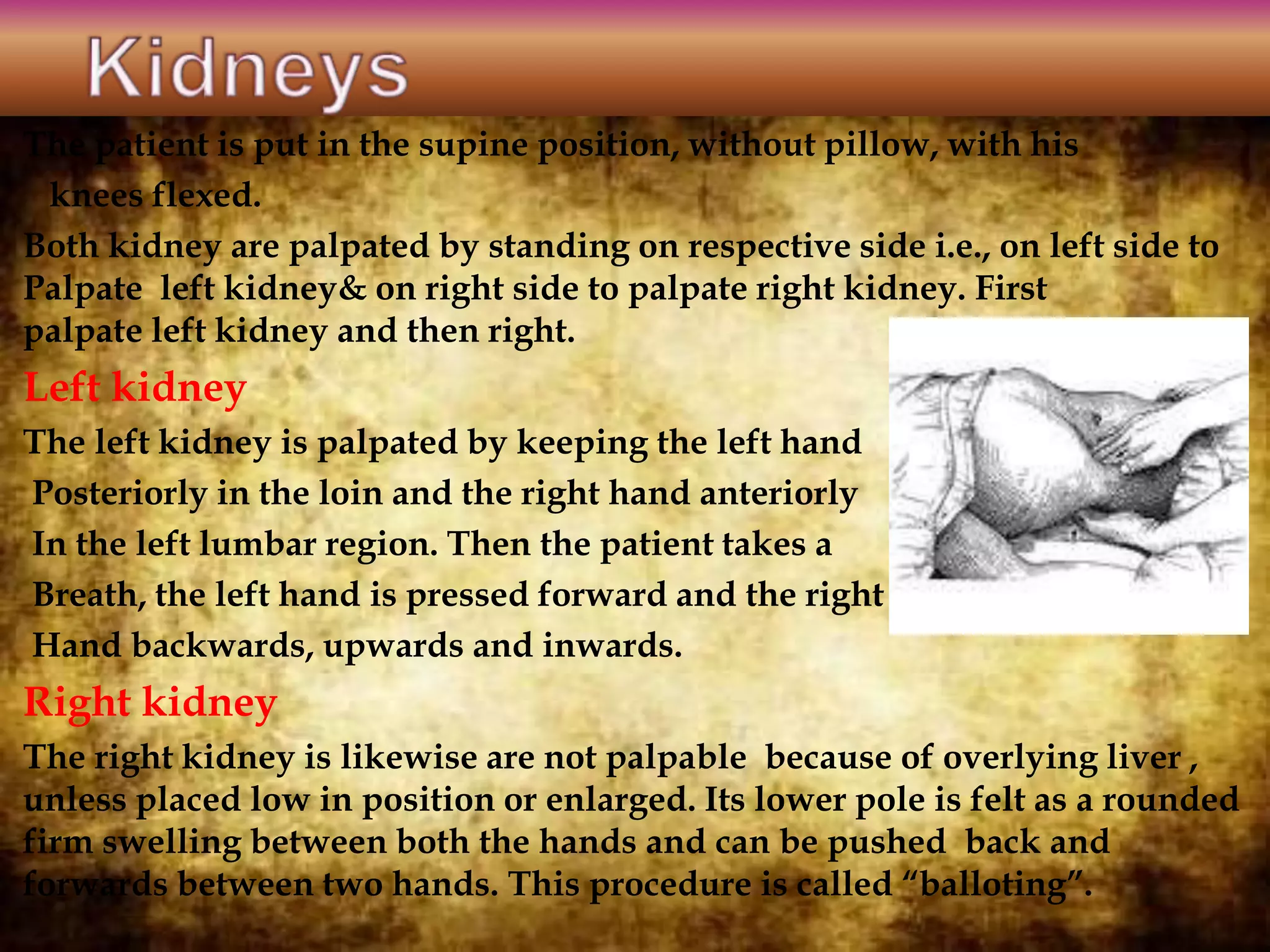 The patient is put in the supine position, without pillow, with his
knees flexed.
Both kidney are palpated by standing on respective side i.e., on left side to
Palpate left kidney& on right side to palpate right kidney. First
palpate left kidney and then right.
Left kidney
The left kidney is palpated by keeping the left hand
Posteriorly in the loin and the right hand anteriorly
In the left lumbar region. Then the patient takes a
Breath, the left hand is pressed forward and the right
Hand backwards, upwards and inwards.
Right kidney
The right kidney is likewise are not palpable because of overlying liver ,
unless placed low in position or enlarged. Its lower pole is felt as a rounded
firm swelling between both the hands and can be pushed back and
forwards between two hands. This procedure is called “balloting”.
 