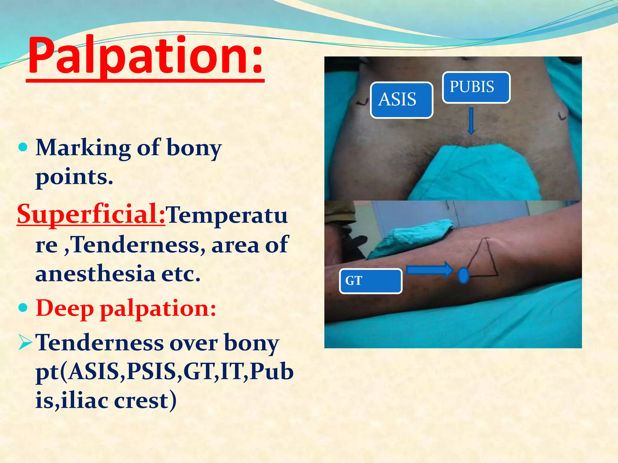 Palpation:
 Marking of bony
points.
Superficial:Temperatu
re ,Tenderness, area of
anesthesia etc.
 Deep palpation:
Tenderness over bony
pt(ASIS,PSIS,GT,IT,Pub
is,iliac crest)
ASIS
PUBIS
GT
 