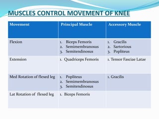 MUSCLES CONTROL MOVEMENT OF KNEE
Movement Principal Muscle Accessory Muscle
Flexion 1. Biceps Femoris
2. Semimembranosus
3. Semitendinosus
1. Gracilis
2. Sartorious
3. Popliteus
Extension 1. Quadriceps Femoris 1. Tensor Fasciae Latae
Med Rotation of flexed leg 1. Popliteus
2. Semimembranosus
3. Semitendinosus
1. Gracilis
Lat Rotation of flexed leg 1. Biceps Femoris
 