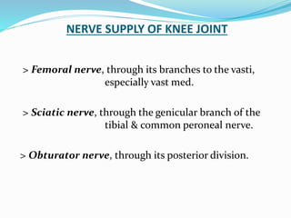 NERVE SUPPLY OF KNEE JOINT
> Femoral nerve, through its branches to the vasti,
especially vast med.
> Sciatic nerve, through the genicular branch of the
tibial & common peroneal nerve.
> Obturator nerve, through its posterior division.
 