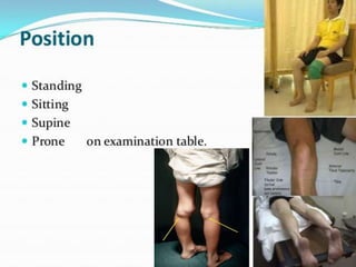 Position during examination
Standing
Sitting
Supine
prone
 