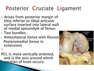 Examination of knee psmc | PPTX
