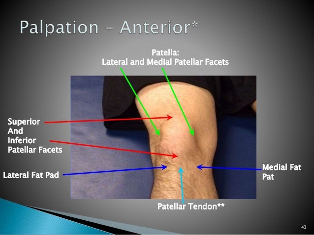 Examination of knee psmc