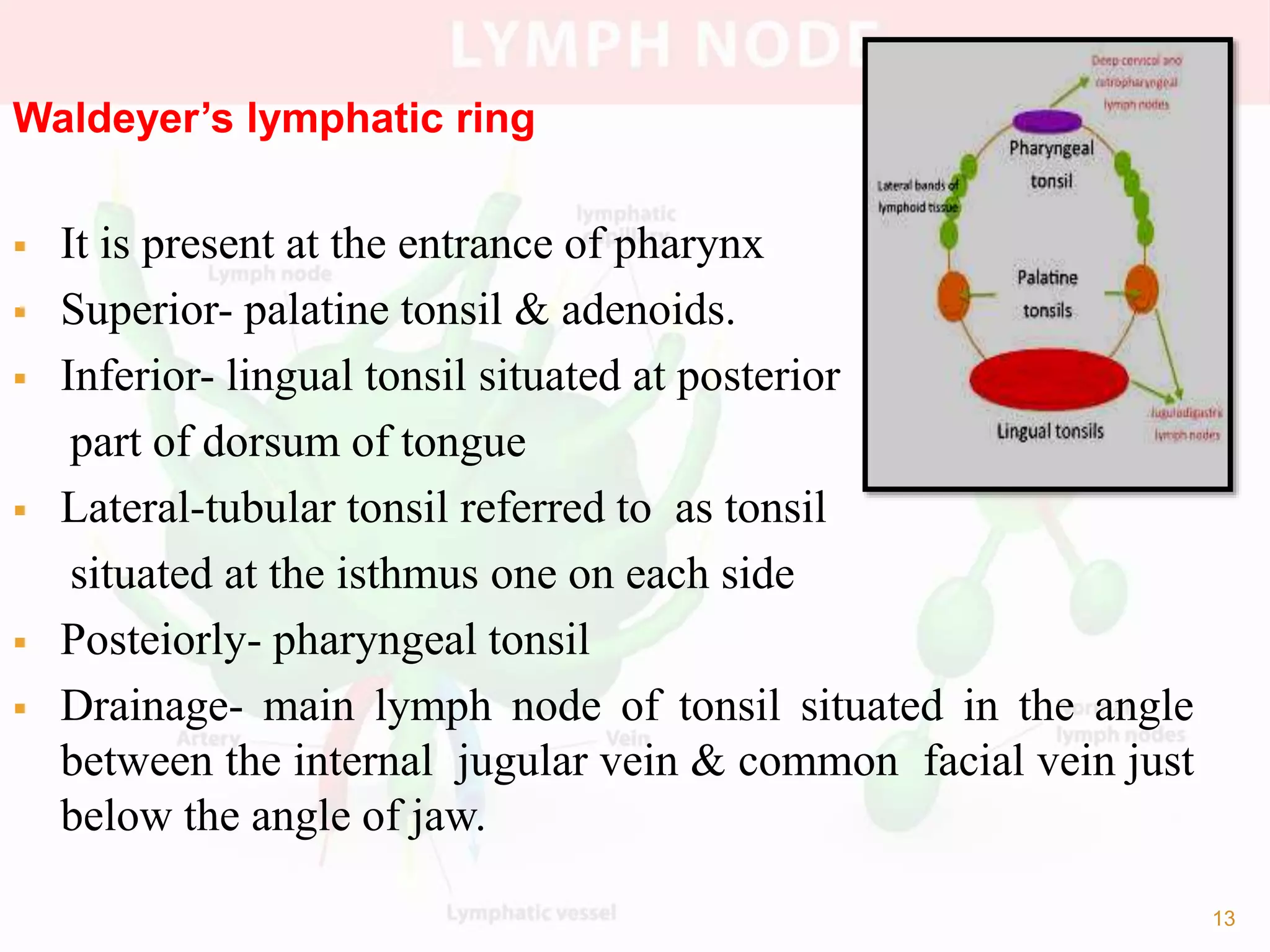 EXAMINATION OF LYMPH NODE..pptx