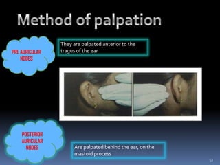 Examination of lymphnodes and cervicofacial lymphadenopathy | PPTX