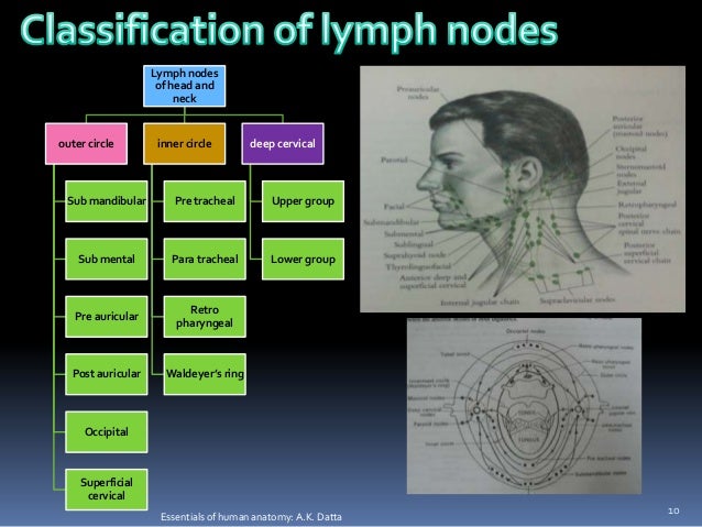 Examination of lymphnodes and cervicofacial lymphadenopathy