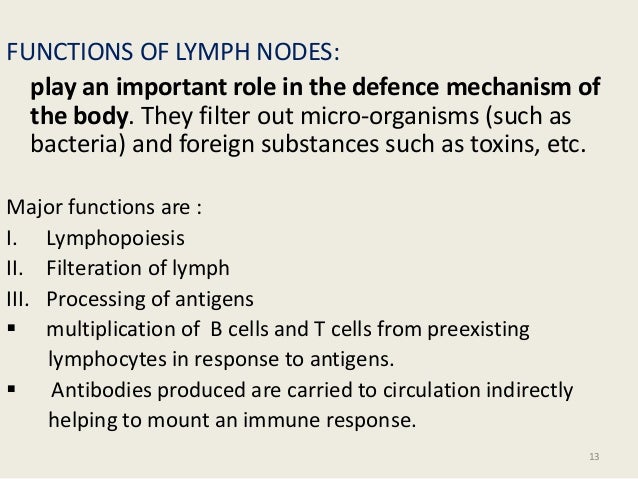 lymph nodes function