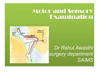 Motor and Sensory
    Examination




       Dr Rahul Awasthi
Neurosurgery department
                 SAIMS
 