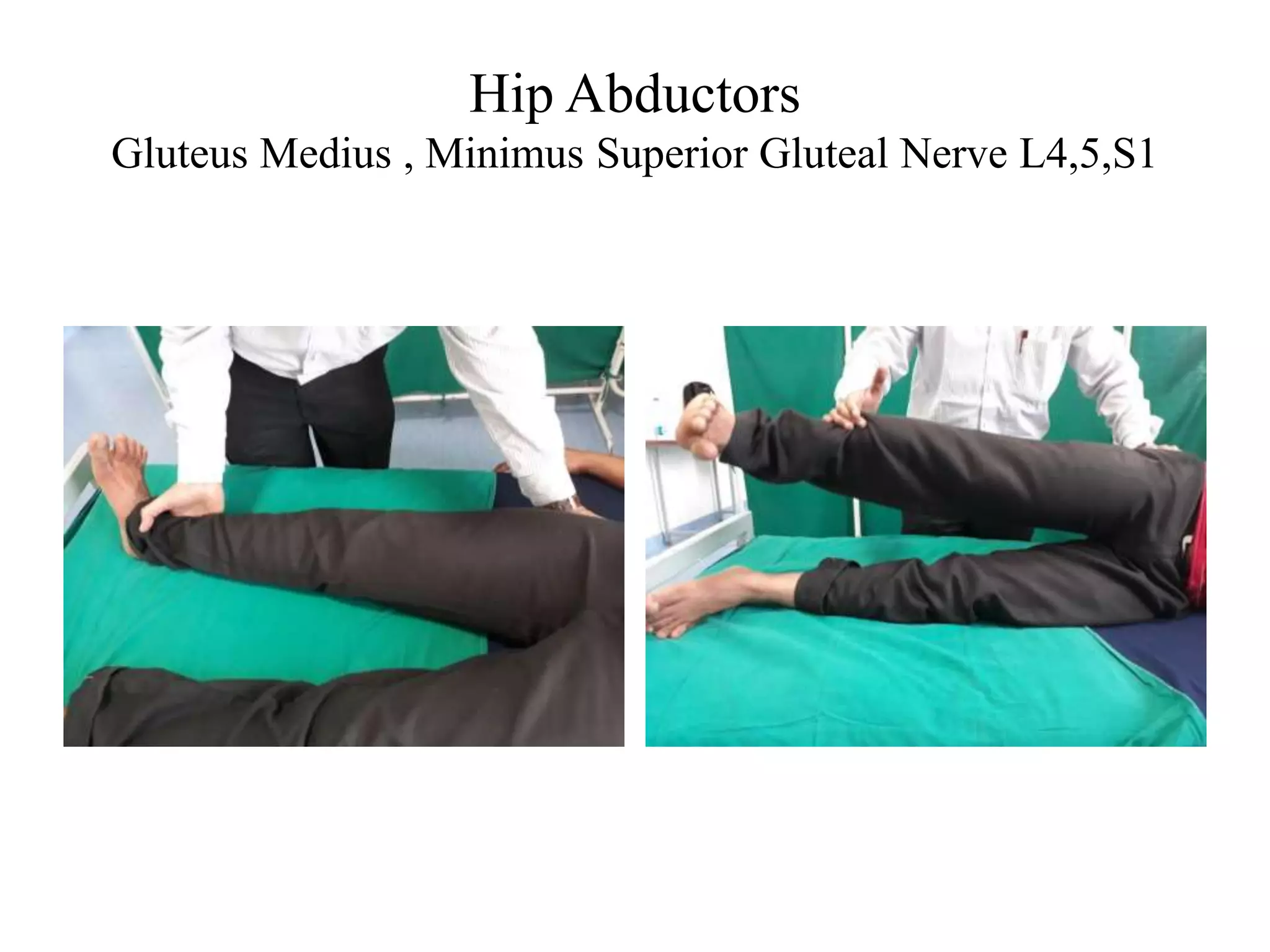 Hip Abductors
Gluteus Medius , Minimus Superior Gluteal Nerve L4,5,S1
 