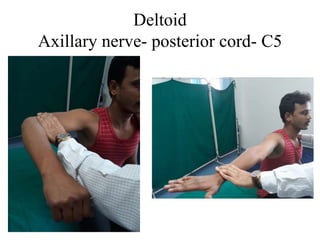 Examination of muscles | PPTX