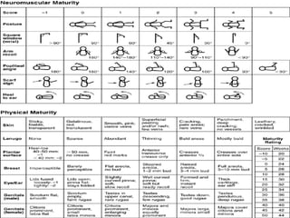 Examination of newborn. | PPTX