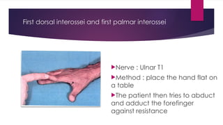 Testing Interossei Strength Examination of power of muscles copy.pptx