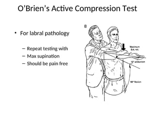Labral Compression Test Examination of shoulder Hamed.ppt FOR MEDICAL STUDENTS | PPT