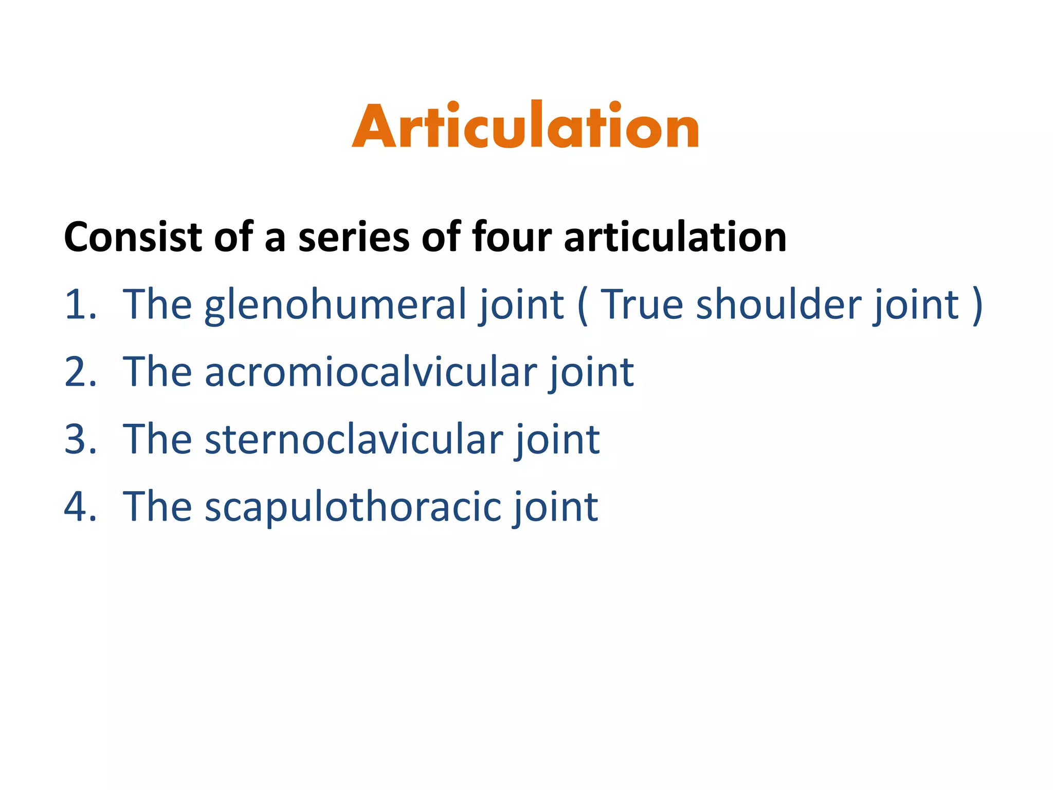 Articulation
Consist of a series of four articulation
1. The glenohumeral joint ( True shoulder joint )
2. The acromiocalvicular joint
3. The sternoclavicular joint
4. The scapulothoracic joint
 