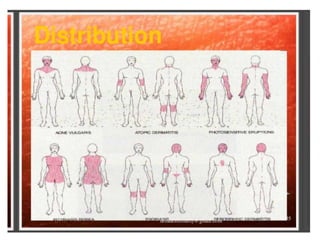 Dist Skin EXAMINATION OF SKIN.pptx and diagnostic tools | PPTX