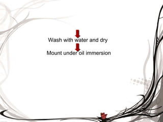 Wash with water and dry
Mount under oil immersion
 
