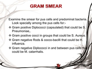 Examine the smear for pus cells and predominat bacteria.
Look specially among the pus cells for:-
 Gram positive Diplococci (capsulated) that could be S.
Pneumoniae,.
 Gram positive cocci in groups that could be S. Aureus.
 Gram negative Rods & cocco-bacilli that could be H.
influenza.
 Gram negative Diplococci in and between pus cells that
could be M. catarrhalis.
 
