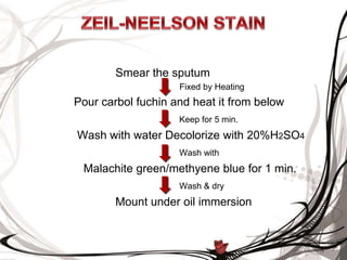 Smear the sputum
Fixed by Heating
Pour carbol fuchin and heat it from below
Keep for 5 min.
Wash with water Decolorize with 20%H2SO4
Wash with
Malachite green/methyene blue for 1 min.
Wash & dry
Mount under oil immersion
 