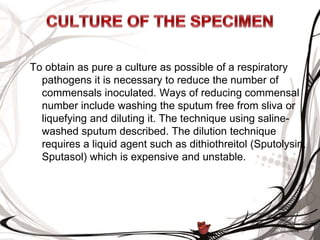 To obtain as pure a culture as possible of a respiratory
pathogens it is necessary to reduce the number of
commensals inoculated. Ways of reducing commensal
number include washing the sputum free from sliva or
liquefying and diluting it. The technique using saline-
washed sputum described. The dilution technique
requires a liquid agent such as dithiothreitol (Sputolysin,
Sputasol) which is expensive and unstable.
 