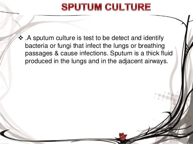 examination of sputum sputum test