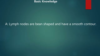 A: Lymph nodes are bean shaped and have a smooth contour.
Basic Knowledge
 