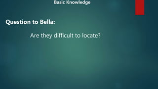 Are they difficult to locate?
Question to Bella:
Basic Knowledge
 