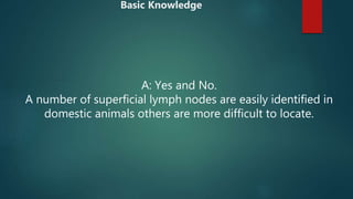 A: Yes and No.
A number of superficial lymph nodes are easily identified in
domestic animals others are more difficult to locate.
Basic Knowledge
 