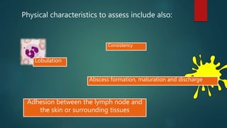 Adhesion between the lymph node and
the skin or surrounding tissues
Lobulation
Consistency
Abscess formation, maturation and discharge
Physical characteristics to assess include also:
 