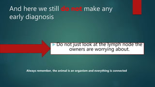 And here we still do not make any
early diagnosis
 Do not just look at the lymph node the
owners are worrying about.
Always remember, the animal is an organism and everything is connected
 