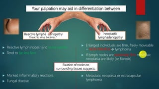 Your palpation may aid in differentiation between
Reactive lympha denopathy
“it react to virus, bacteria…”
neoplastic
lymphadenopathy
 Reactive lymph nodes tend to be painful
 Tend to be less firm
 Marked inflammatory reactions
 Fungal disease
 Enlarged individuals are firm, freely moveable
+ NON PAINFUL lymphoma
 If lymph nodes are extremely firm metastaic
neoplasia are likely (or fibrosis)
 Metastatic neoplasia or extracapsular
lymphoma
Fixation of nodes to
surrounding tissues suggests:
 