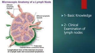  1- Basic Knowledge
 2- Clinical
Examination of
lymph nodes
 
