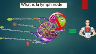 What is la lymph node
I am a gland
Part of lymph-System
 