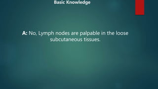 A: No, Lymph nodes are palpable in the loose
subcutaneous tissues.
Basic Knowledge
 