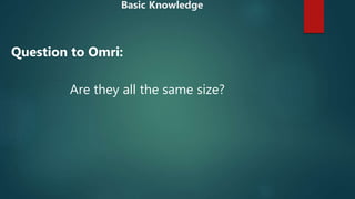 Are they all the same size?
Question to Omri:
Basic Knowledge
 