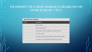 Comprehensive Examination of the Cardiovascular System: Anatomy, Vital ...
