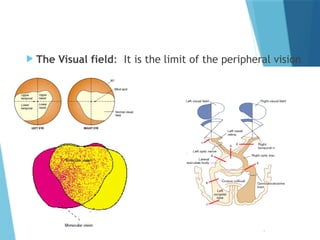 Peripheral Perception Examination of the cranial nerves PD.pptx
