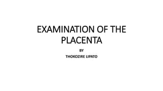 EXAMINATION OF THE
PLACENTA
BY
THOKOZIRE LIPATO
 