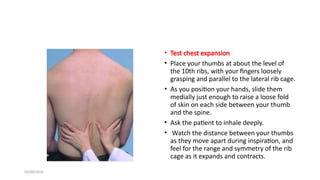 Rib Excursion Test Comprehensive Examination of the Respiratory System: Anatomy ...