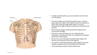 Palpating Ribs Comprehensive Examination of the Respiratory System: Anatomy ...
