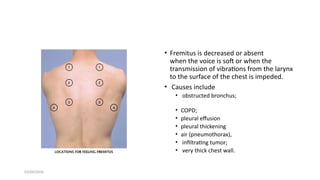 Friction Fremitus Comprehensive Examination of the Respiratory System: Anatomy ...
