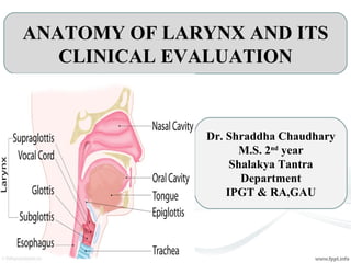 ANATOMY OF LARYNX AND ITS
CLINICAL EVALUATION
Dr. Shraddha Chaudhary
M.S. 2nd
year
Shalakya Tantra
Department
IPGT & RA,GAU
 