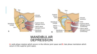 Tmj Over Rotation Examination of TMJ 2.pptx