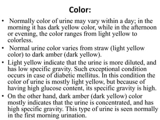Examination of urine.pptx