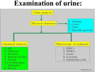 Examination of urine:
 