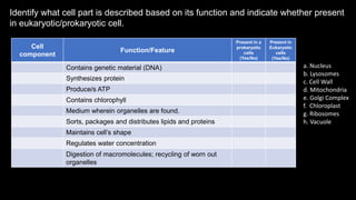 Identify what cell part is described based on its function and indicate whether present
in eukaryotic/prokaryotic cell.
Cell
component
Function/Feature
Present in a
prokaryotic
cells
(Yes/No)
Present in
Eukaryotic
cells
(Yes/No)
Contains genetic material (DNA)
Synthesizes protein
Produce/s ATP
Contains chlorophyll
Medium wherein organelles are found.
Sorts, packages and distributes lipids and proteins
Maintains cell’s shape
Regulates water concentration
Digestion of macromolecules; recycling of worn out
organelles
a. Nucleus
b. Lysosomes
c. Cell Wall
d. Mitochondria
e. Golgi Complex
f. Chloroplast
g. Ribosomes
h. Vacuole
 